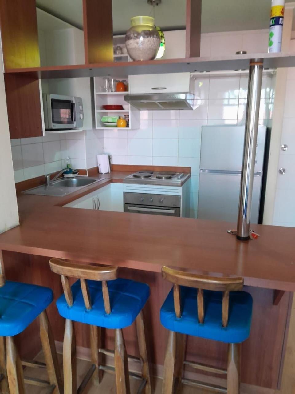 Bellavista Apartrent Santiago de Chile Zewnętrze zdjęcie